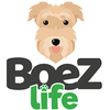 BoeZLIfe Logotipo