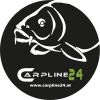 Carpline24 Logo