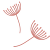 Bij Lieke Logotyp
