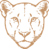 Nala Connect Logotipo
