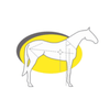 EquImpulse Logotyp