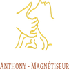 ANTHONY- MAGNETISEUR Logotipo