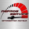 Reprog Service Logotyyppi