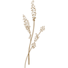 Haarstudio Charisma Logotyp
