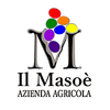Il Masoè Logotyp