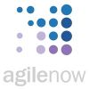 AGILE NOW Logotype