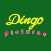 Dingo Pictures Logotype