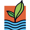 DreamSpring Logotype