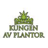 Cash is king Logotyyppi