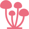 Func Fungi Logotyyppi