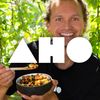 AHO Logo