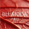 BLUMODA FASHION TEAM Logó