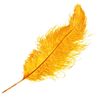LA PLUME AIR CLUB Logo