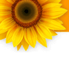 Der-Markisen-Shop.de Logo