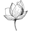 homeonmagnoliahill.com Logotyyppi
