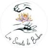 Les Secrets de Boubou Logotype