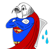 Koishopper Logo