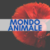 Mondo animale augusta Logotype