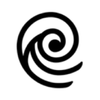 NTS Audio Logotipo