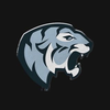 Stahltiger Logotyp