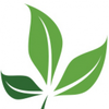 Fitplein Logotyyppi