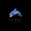 Blu Whale Pool Cleaning Logotype