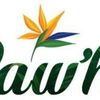 Wawhui Logotyp