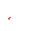 Car Specialist Customs Logotype