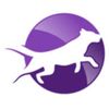 Dynamic Dogs Academy Logotyp
