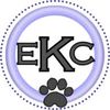 ESSA Zone Logotype