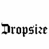 Dropsize Logotipo
