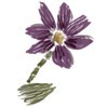 The Iris Music Project Logotyp