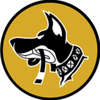 Ricardo Cavalcanti Brazilian Jiu-Jitsu - RI Logotype
