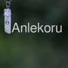 Anlekoru Logotyp