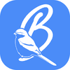 BirdingTexel Logotyp