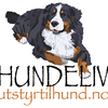 utstyrtilhund.no Logo