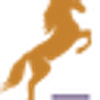 HelseHest Logotipo