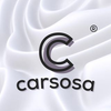 Carsosa Ltd Logotype