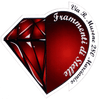 Frammenti di Stelle Logotyp