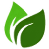 Health and Wellness Online Logotype