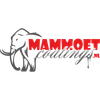 Mammoetcoatings.nl Logotype