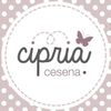 Cipria Logotipo