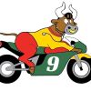 vetswithhorsepower.com Logotyp