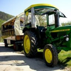 winzerexpress-pfalz.de Logotipo