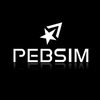 PEBSIM Logotipo