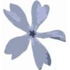 Wild Sweet William's Logotyp