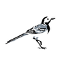 Wagtail Design Logotype