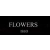 flowersiseo.com Logotipo