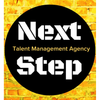 next-step.agency Logotype