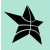 Court Star Logotype